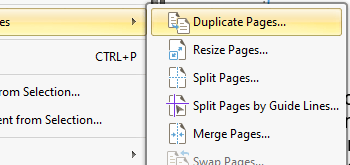 Duplicate Document Pages