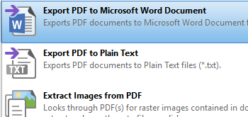 Export Documents to MS Word Document Format
