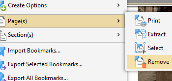 Remove Pages that Bookmarks Point to via the Bookmarks Pane